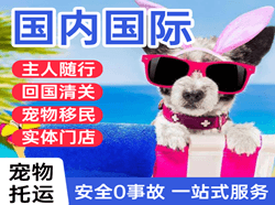 湘西边城机场空运国际宠物托运 【国